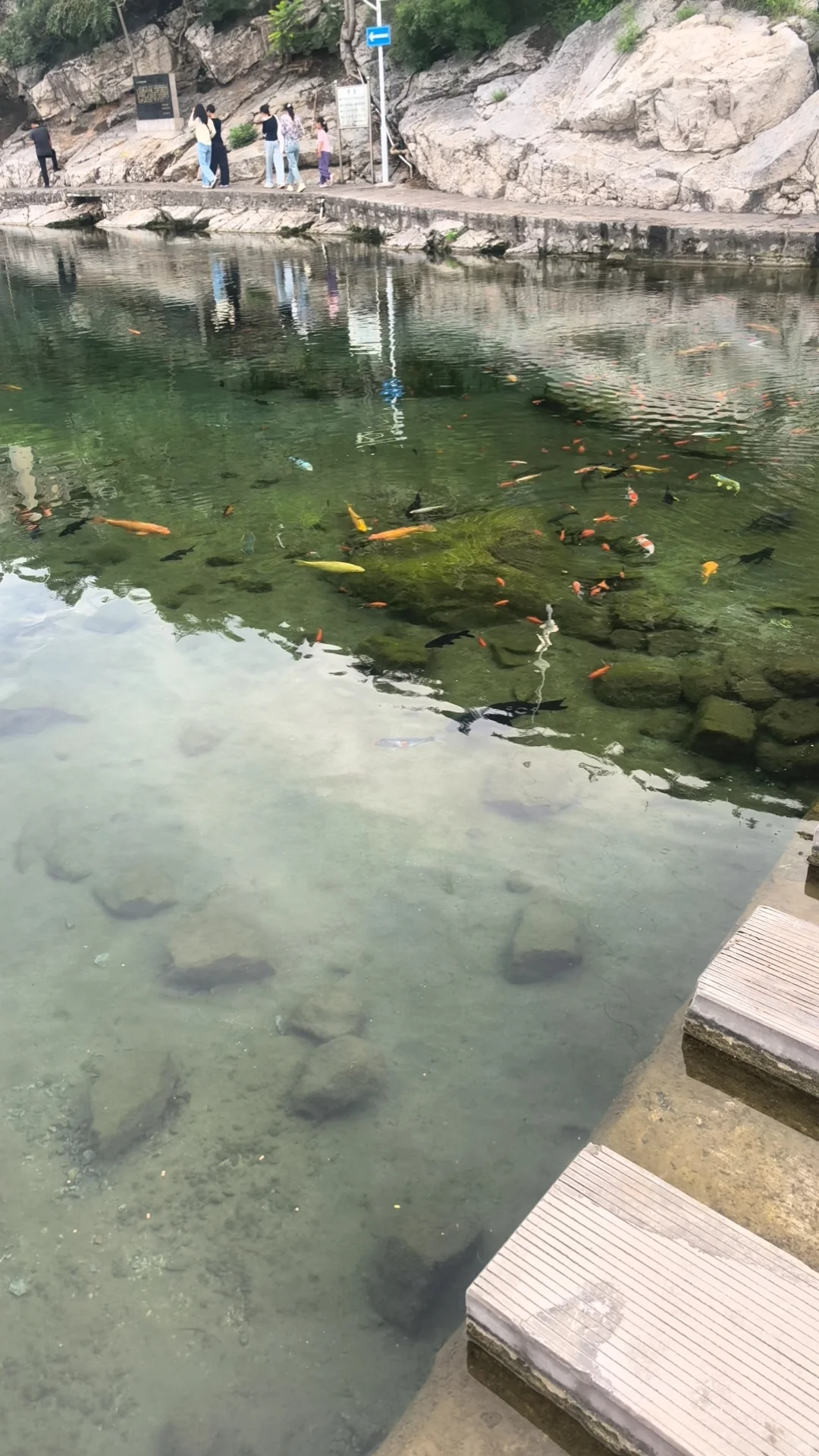 欢迎大家来到我的家乡，峰峰矿区