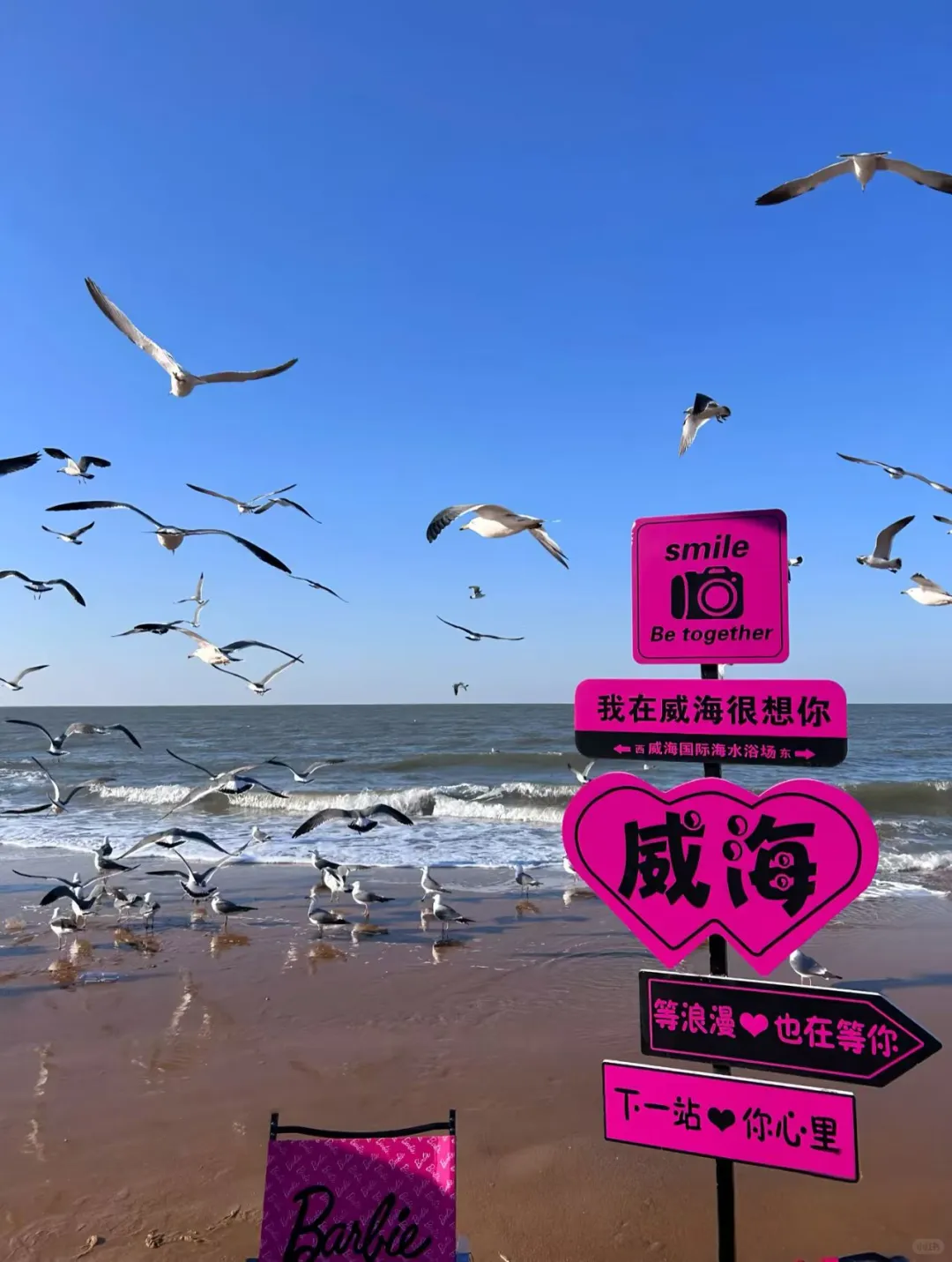 威海旅游 | 本地人私藏超全攻略✨