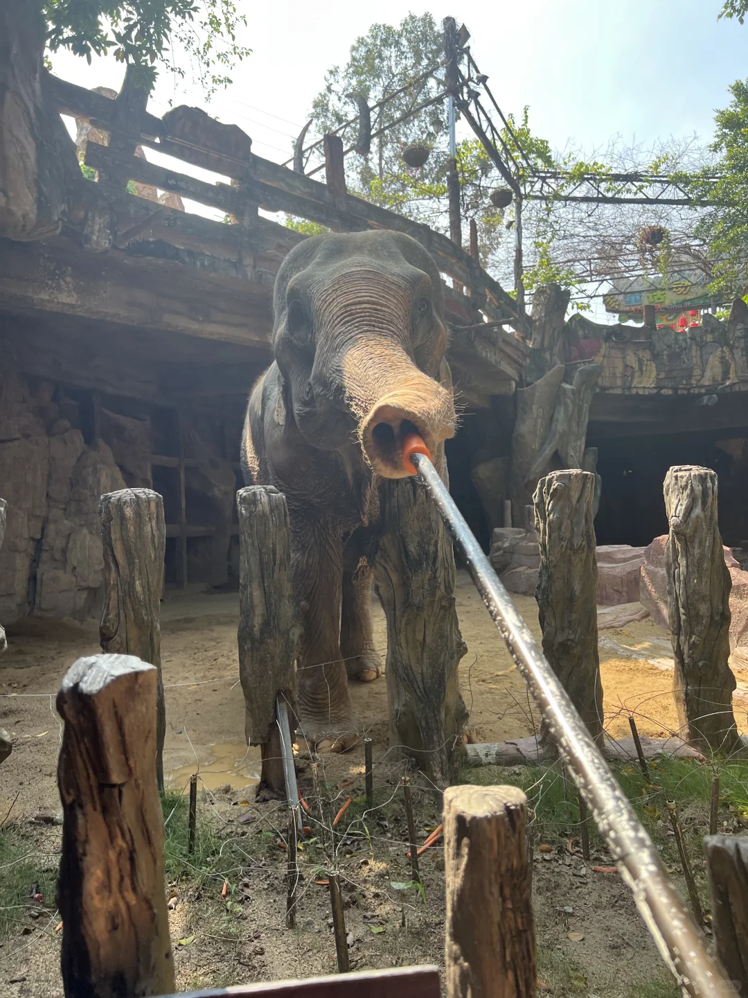 🦌 顺德长鹿休博园最新游玩攻略