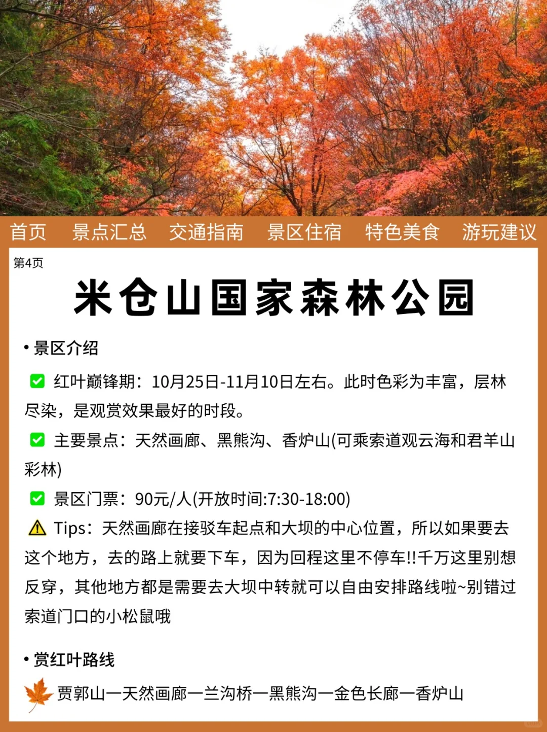 光雾山10-11月旅游新通‼️幸好提前刷到了