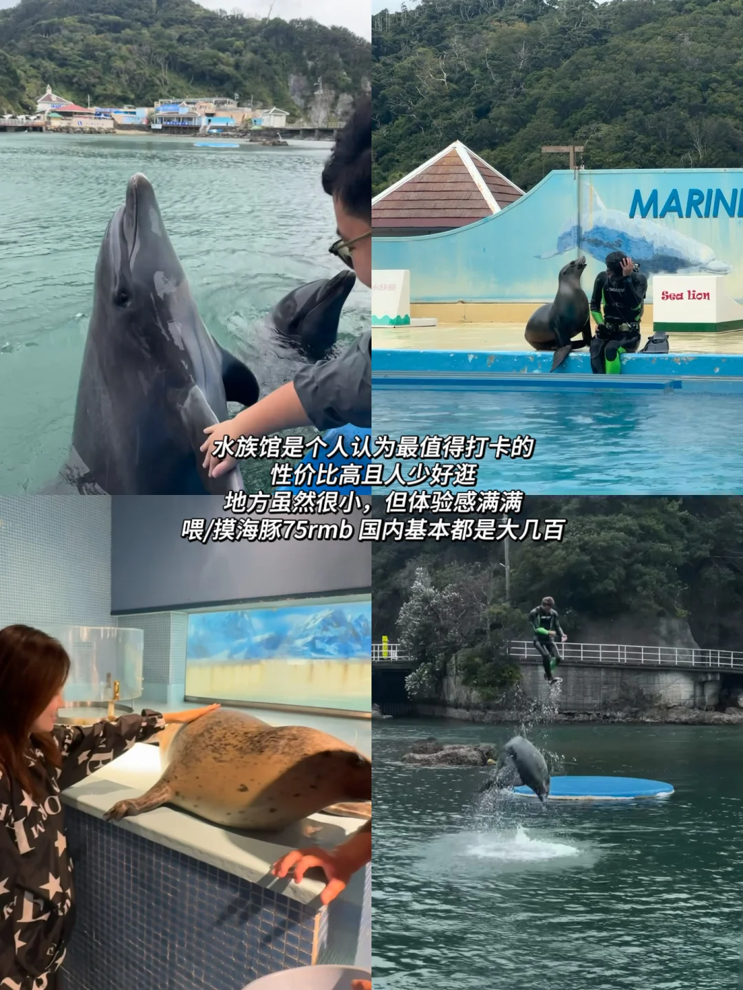 伊豆两天一夜旅游攻略⛰️日本的精髓都在乡下