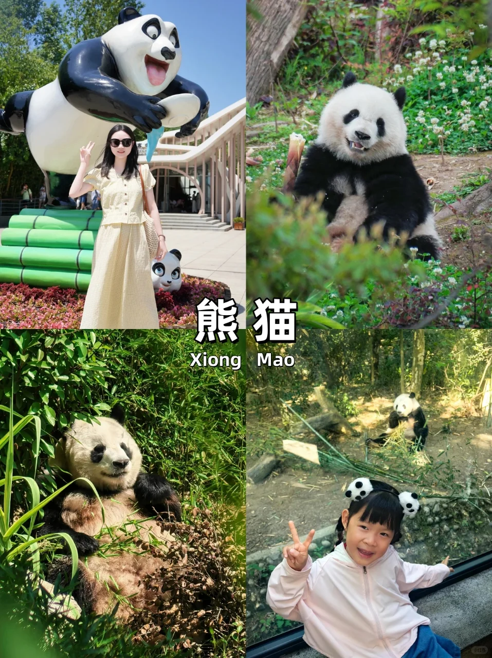 成都旅游攻略|7天6晚💰人均1000➕|纯享受🍃