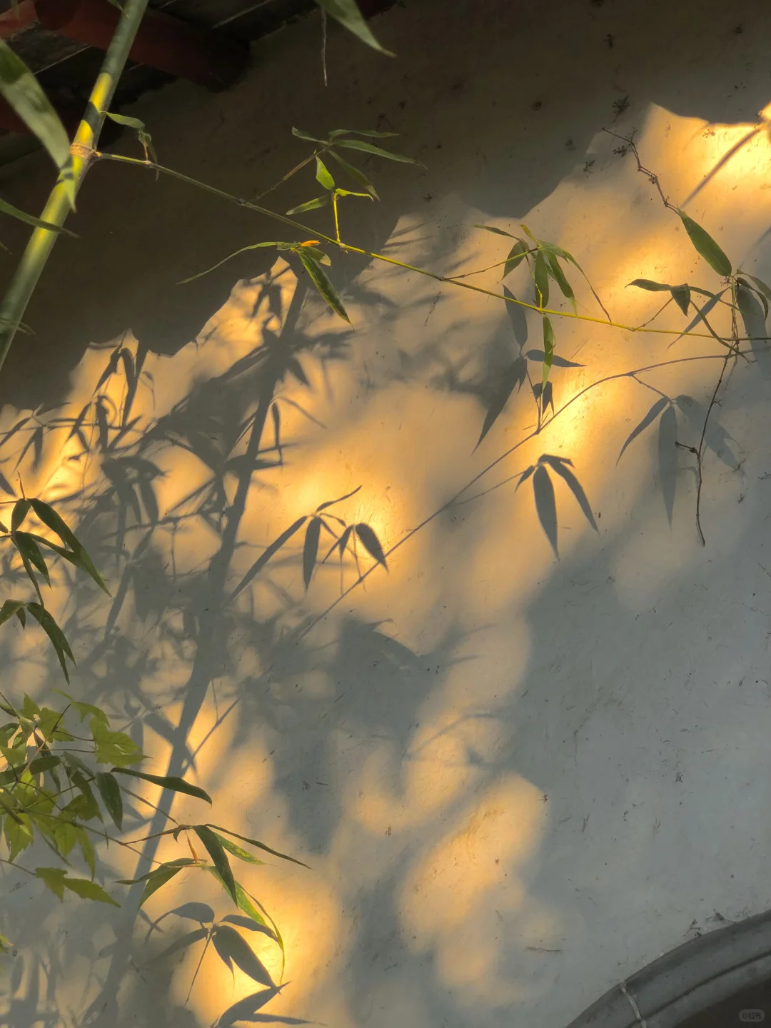 苏轼的人生建议:一定要去趟虎丘❗️
