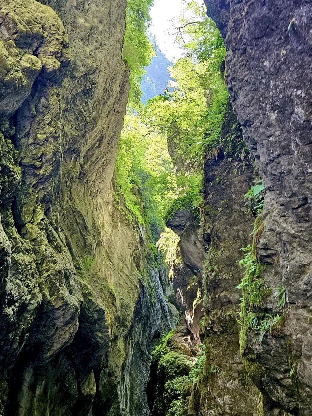 不去官鹅沟，不知西北山水奇！三天畅玩攻略