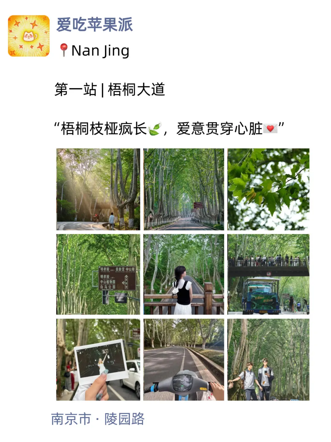 下次来南京旅游还这么发朋友圈