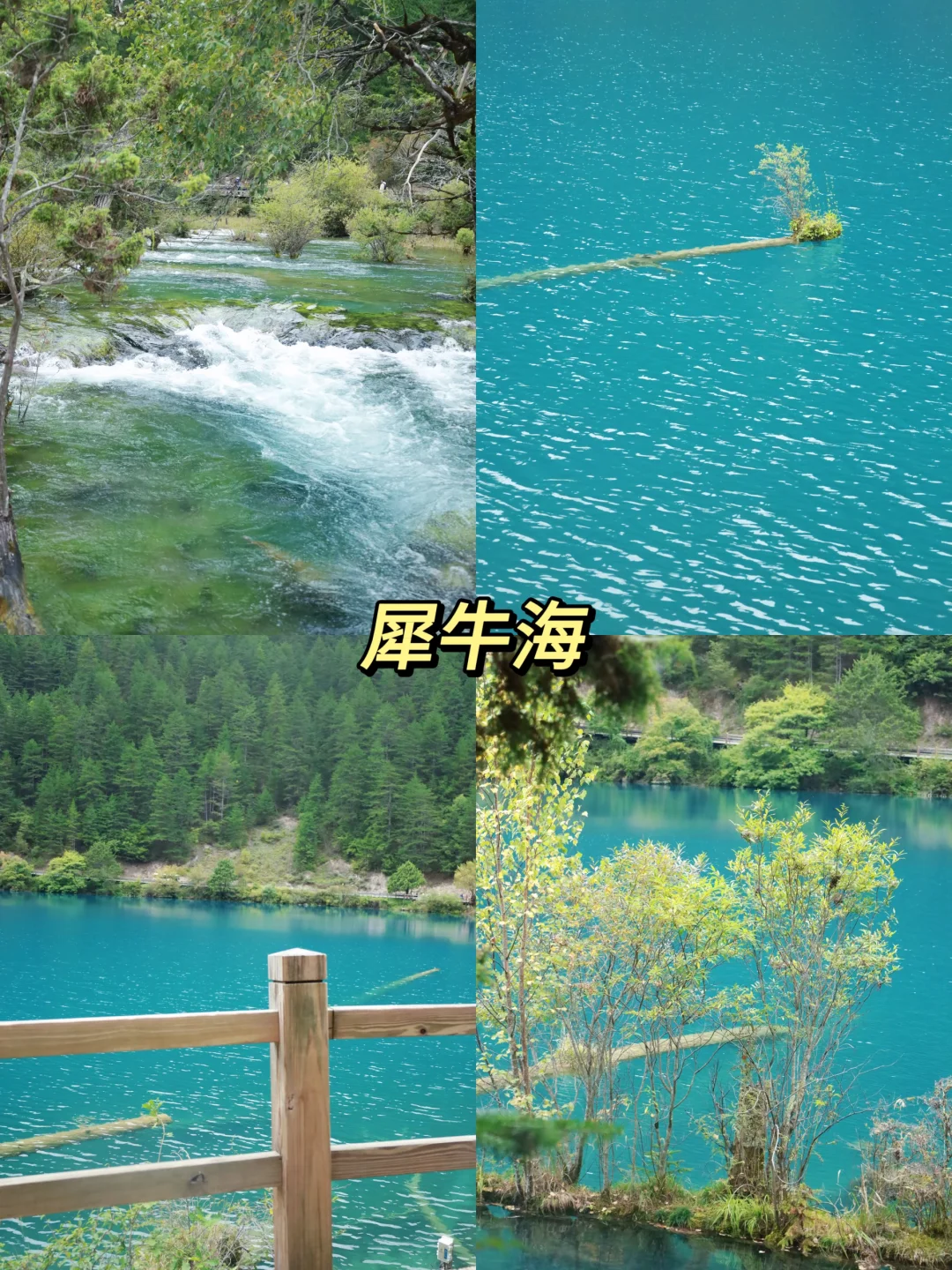 黄龙-九寨沟两日游｜人均💰1k可复制版❗️