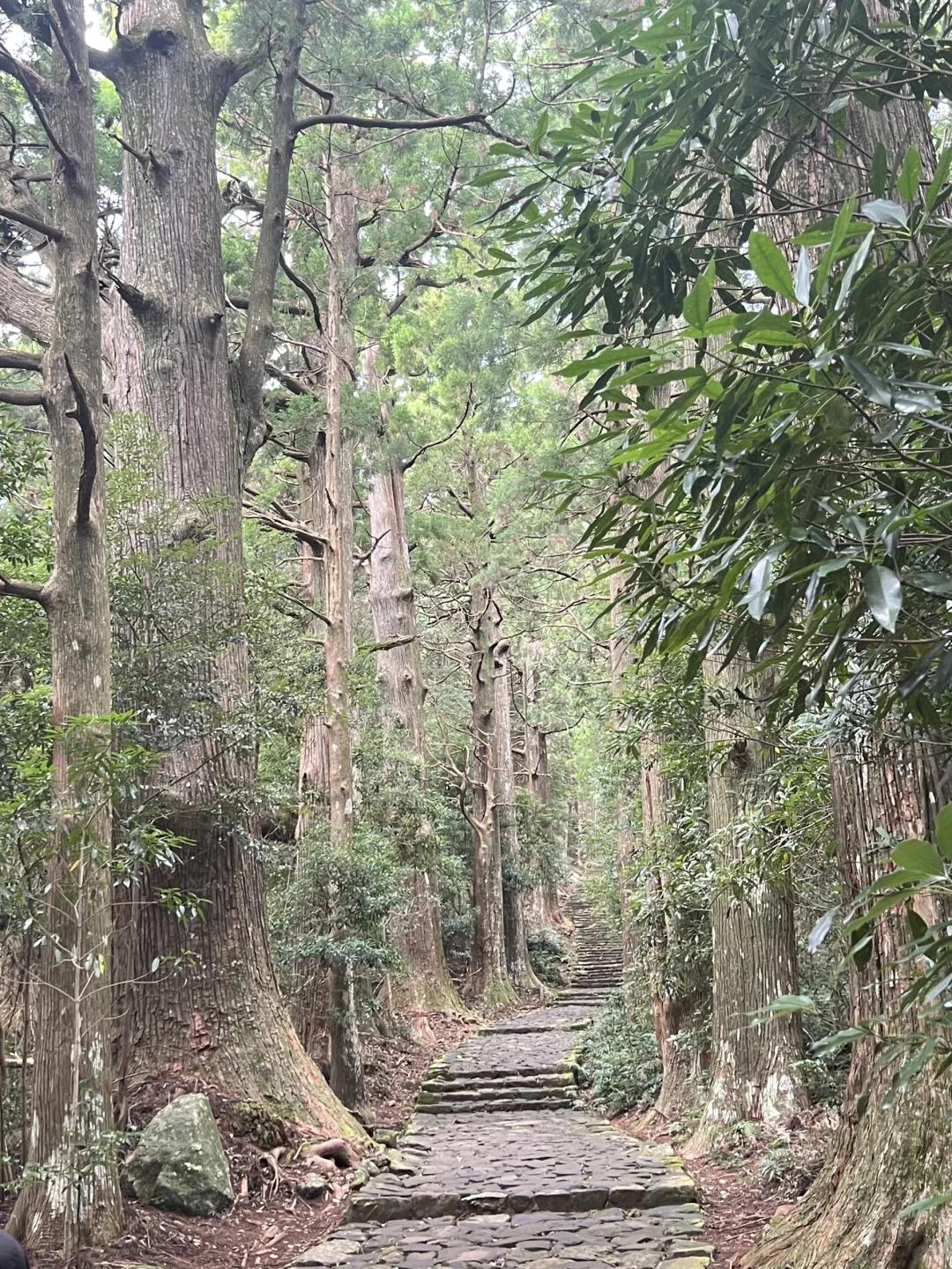 日本熊野古道徒步与秘境温泉怀石之旅