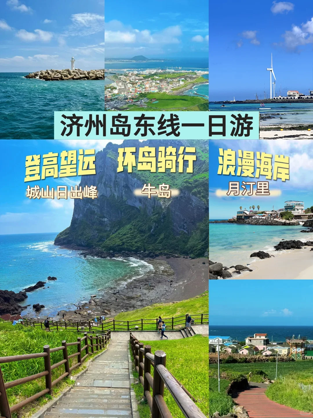 🇰🇷韩国济州岛山茶花暴击🌺好好拍！