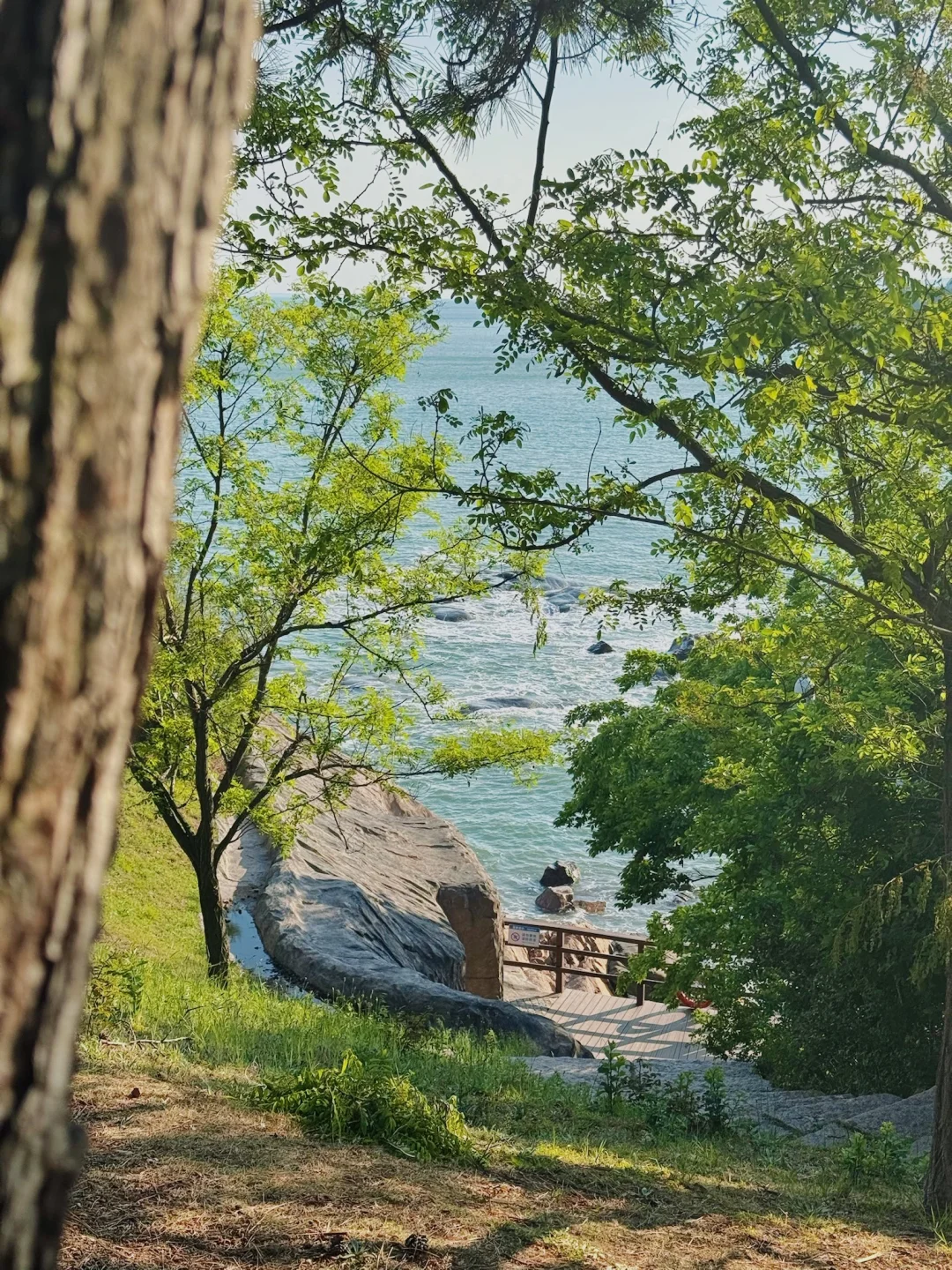 听劝！没去琴屿路！被这里狠狠惊艳🌊