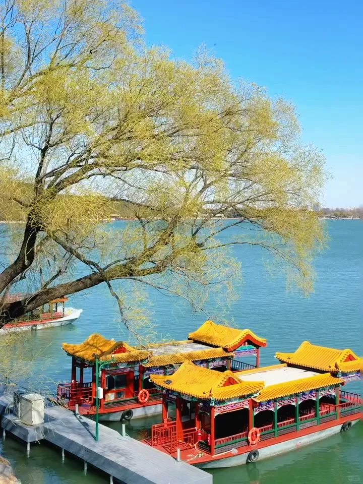 永远可以相信颐和园的审美🍂🍁