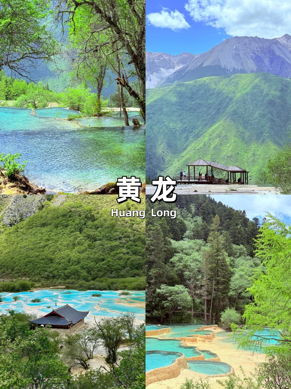 成都旅游攻略|7天6晚💰人均1000➕|纯享受🍃