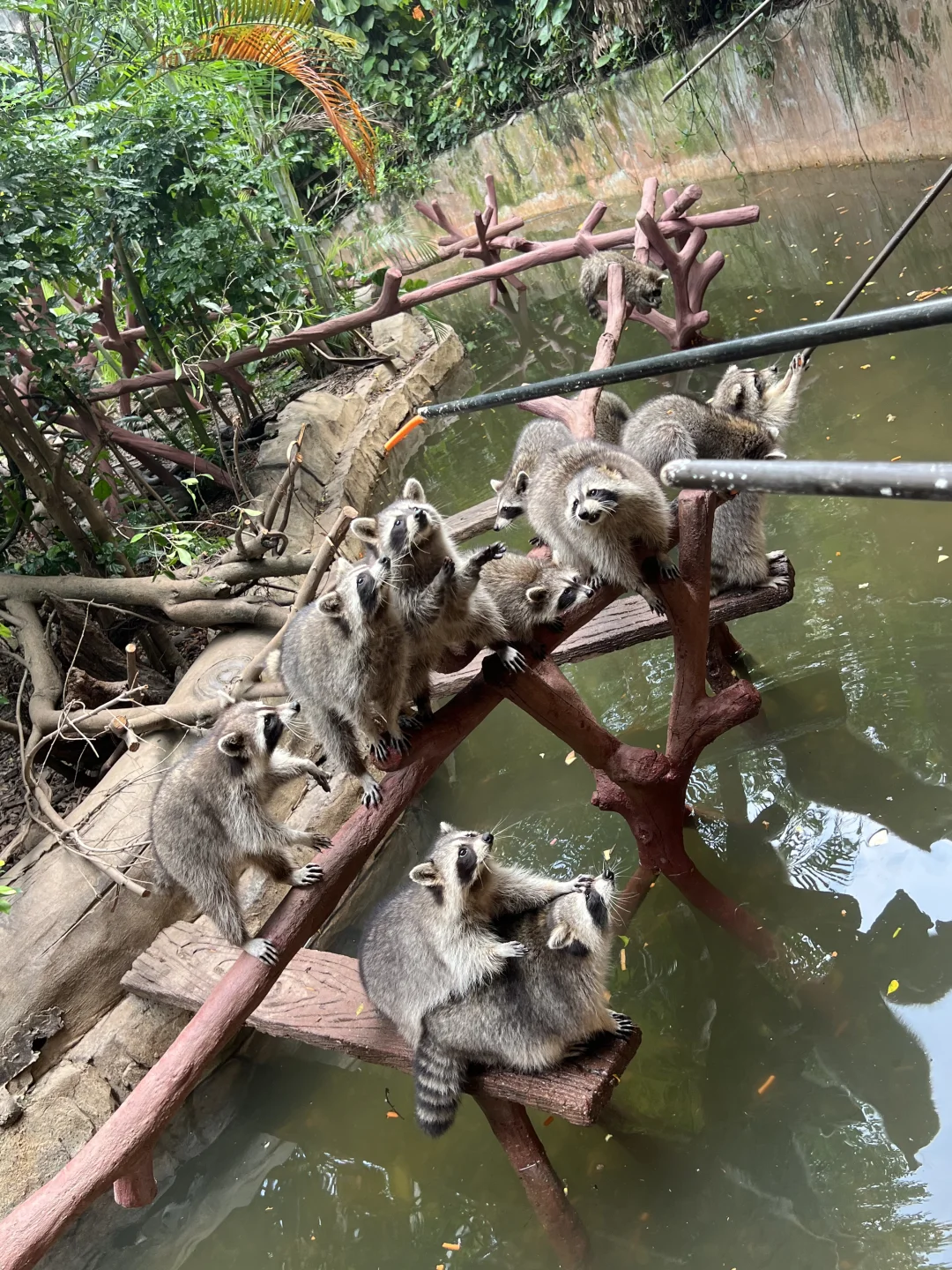 🦌 顺德长鹿休博园最新游玩攻略