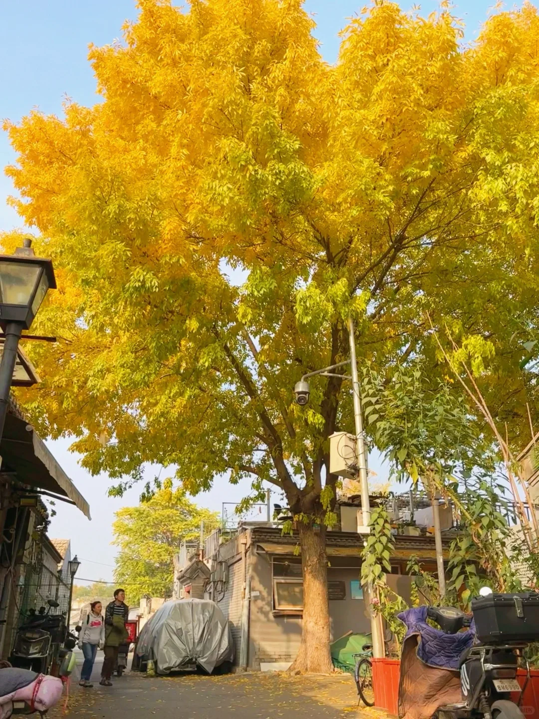 国庆❗️北京胡同citywalk➕赏秋路线合集地图