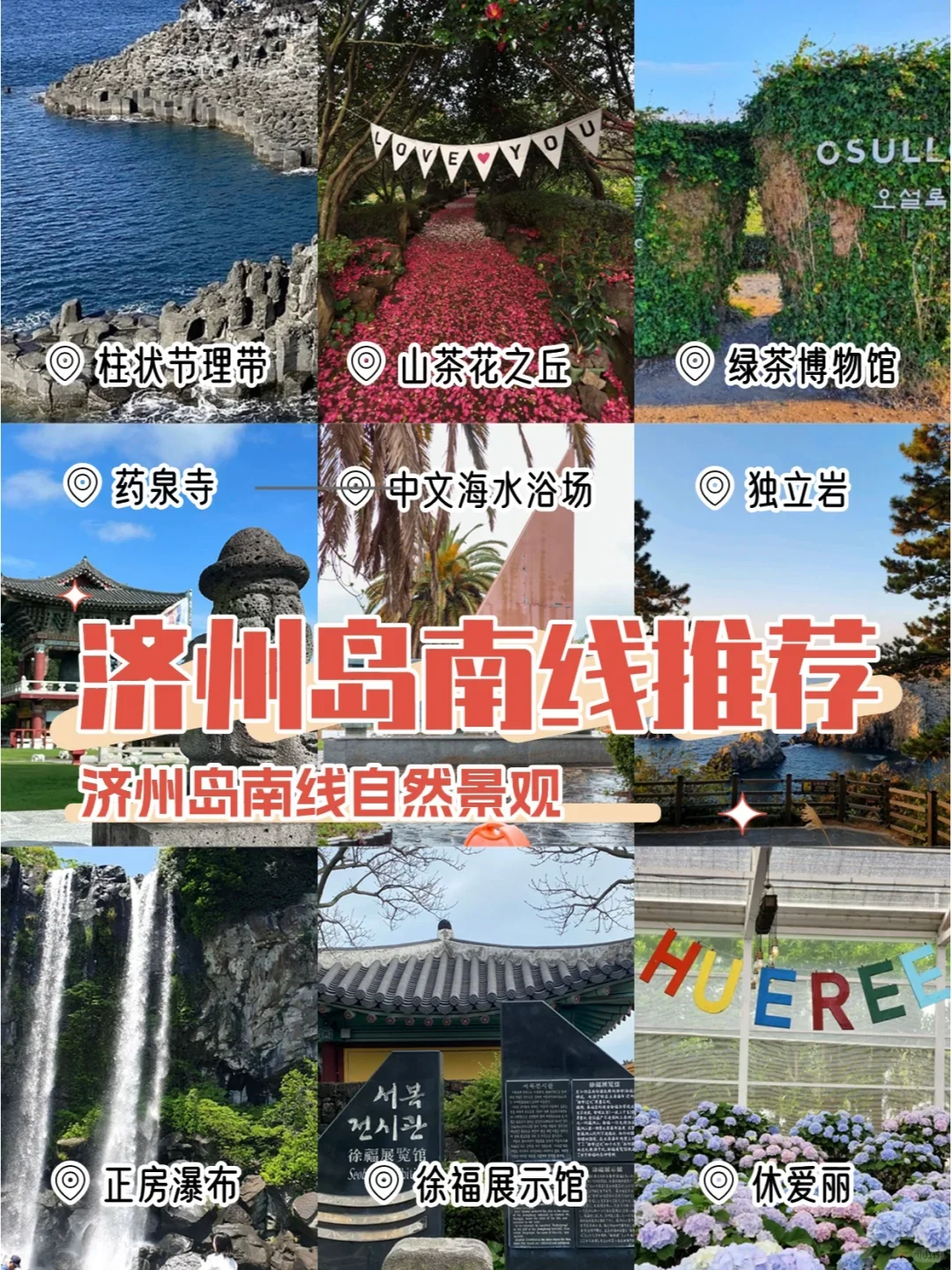 🇰🇷韩国济州岛山茶花暴击🌺好好拍！