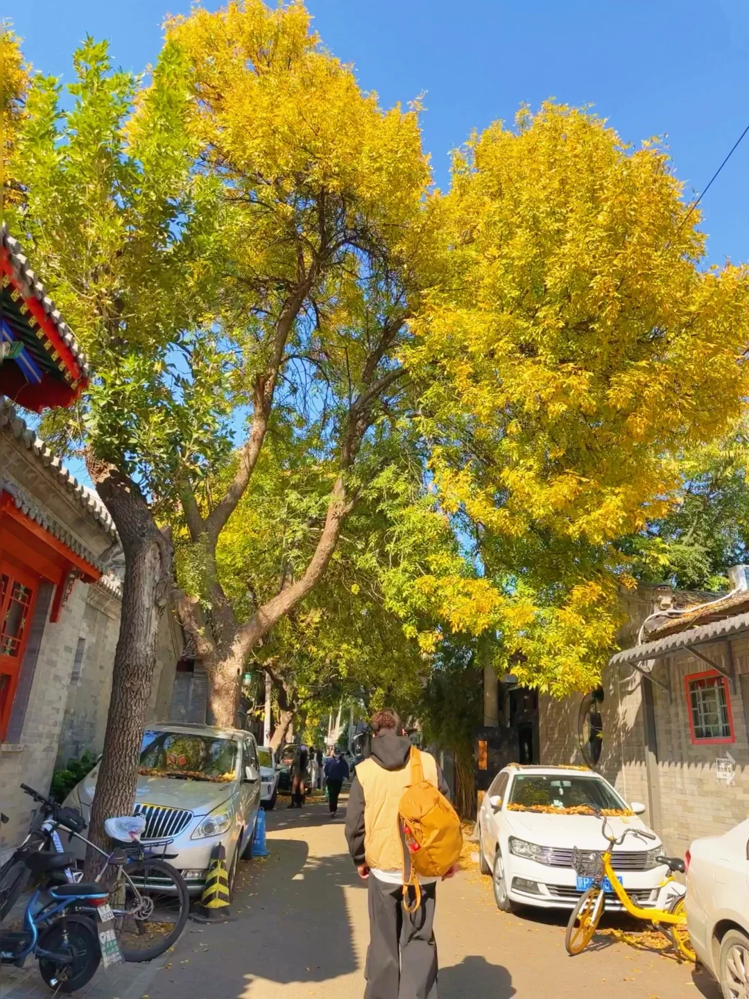 国庆❗️北京胡同citywalk➕赏秋路线合集地图