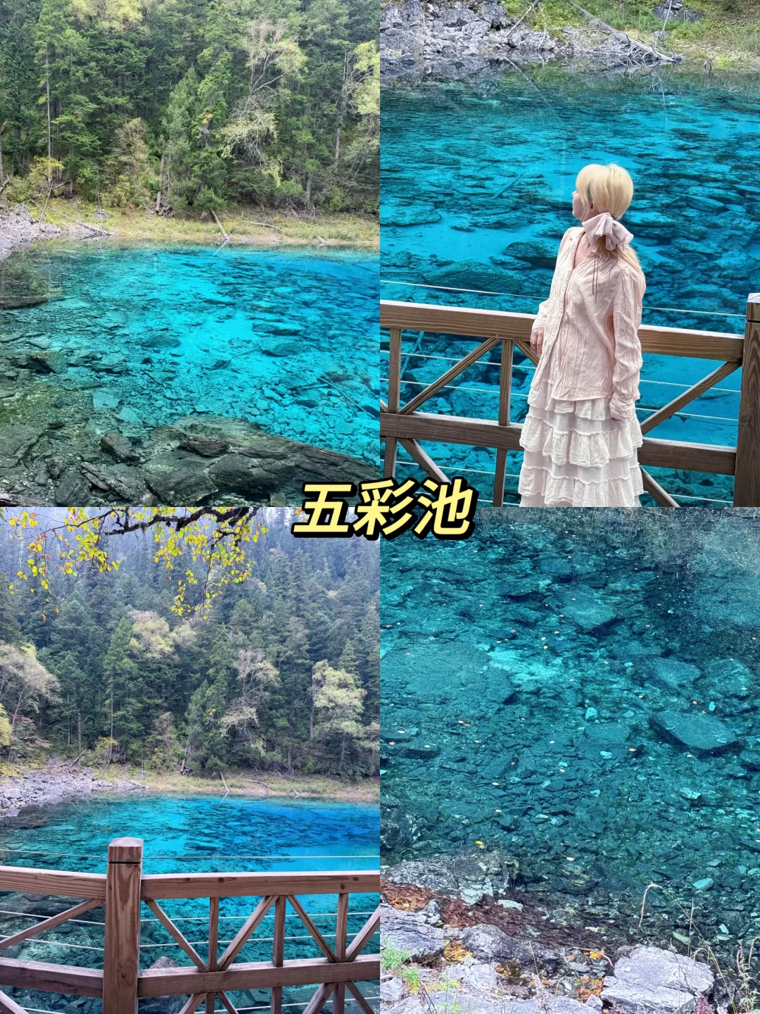 黄龙-九寨沟两日游|人均💰1k可复制版❗️