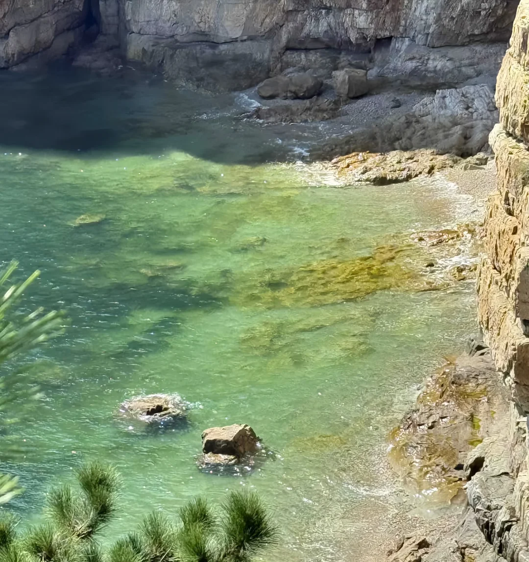 🌊在大连 📷24小时旅游攻略‼️