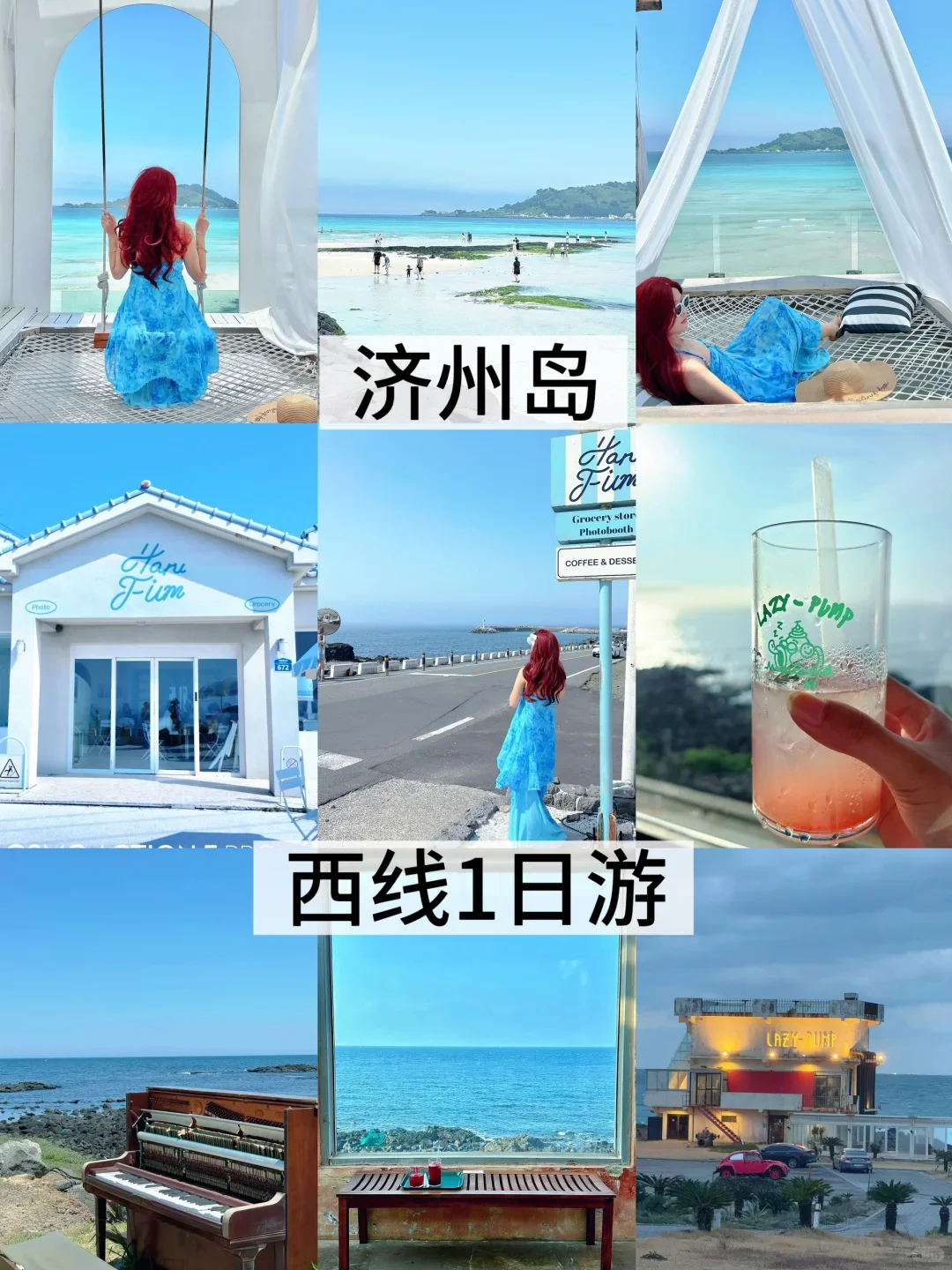 🇰🇷韩国济州岛山茶花暴击🌺好好拍！