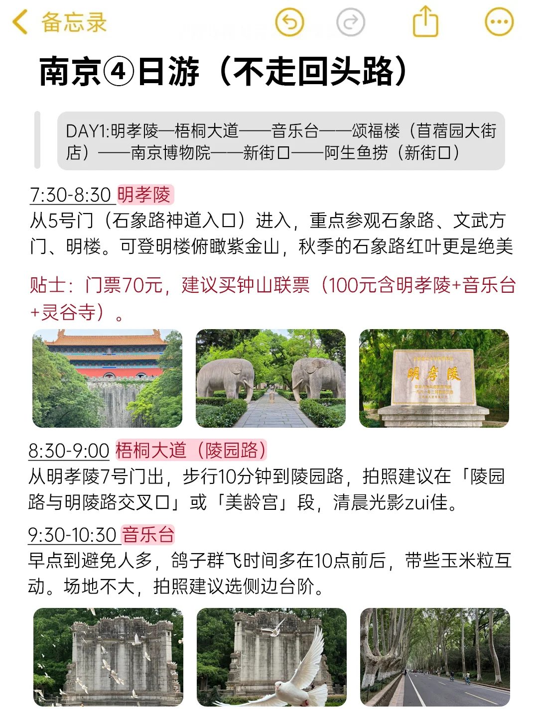 替大家试过了，南京就只适合玩4天