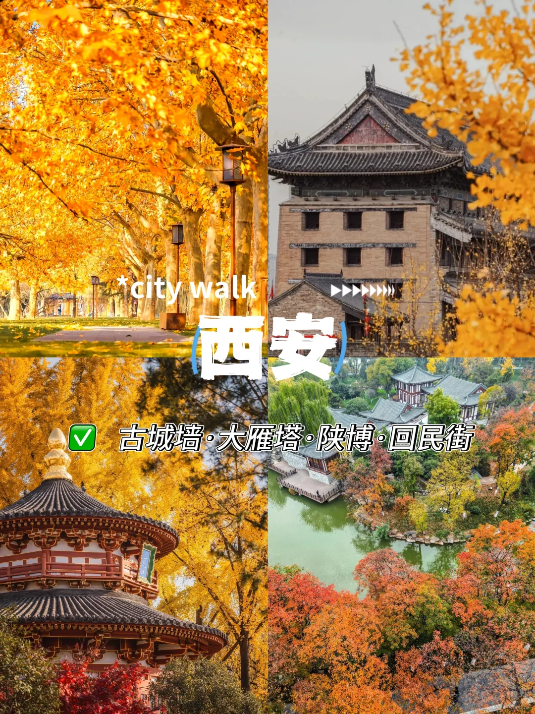 月薪三千也能冲‼️这5个地方的秋天美疯了