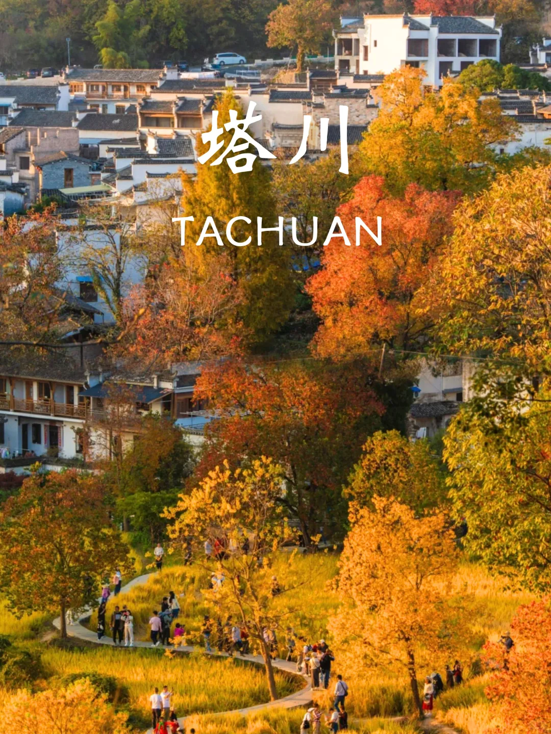10-11月国内赏秋没有平替❗个个都是天花板