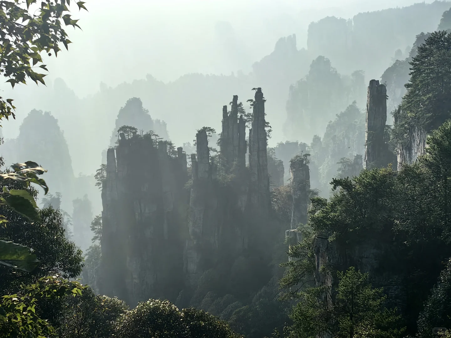 张家界旅游攻略 三天三夜 三索一梯不限次