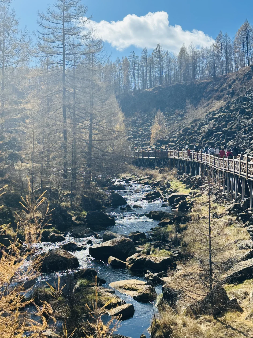 📍阿尔山攻略(长春出发版)