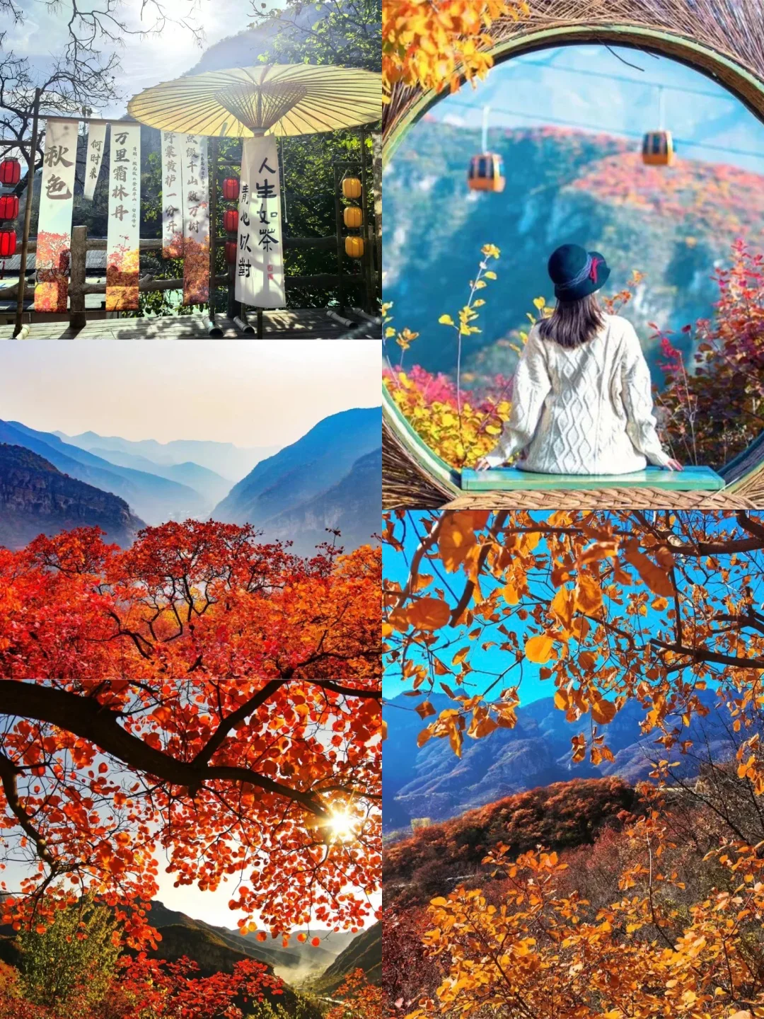 🔥北京红叶天花板！坡峰岭红叶攻略