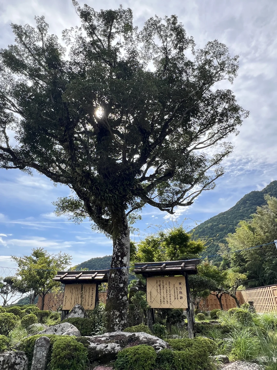 日本熊野古道徒步与秘境温泉怀石之旅