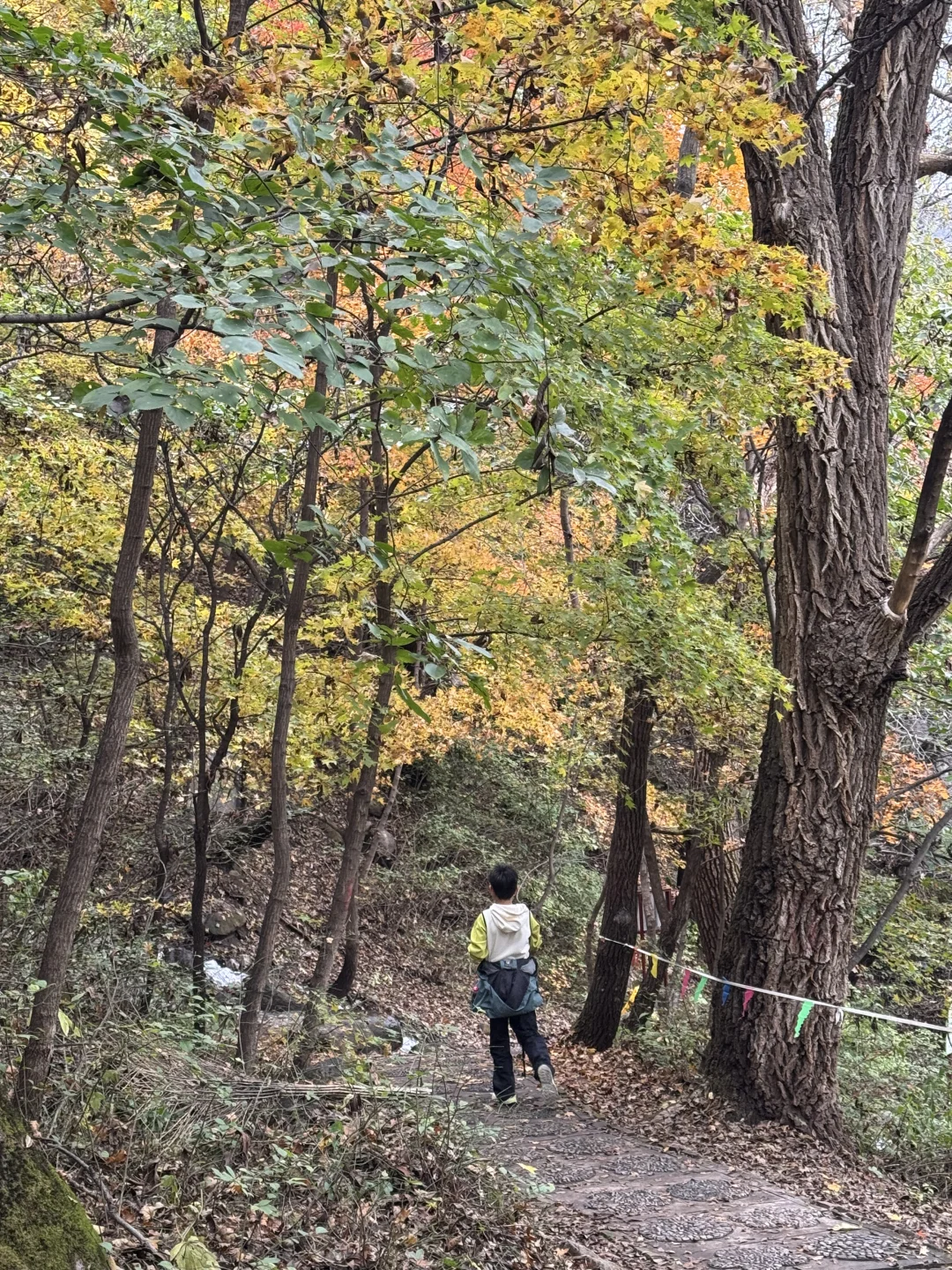 10.12玉渡山 秋意正浓，拍不出的美