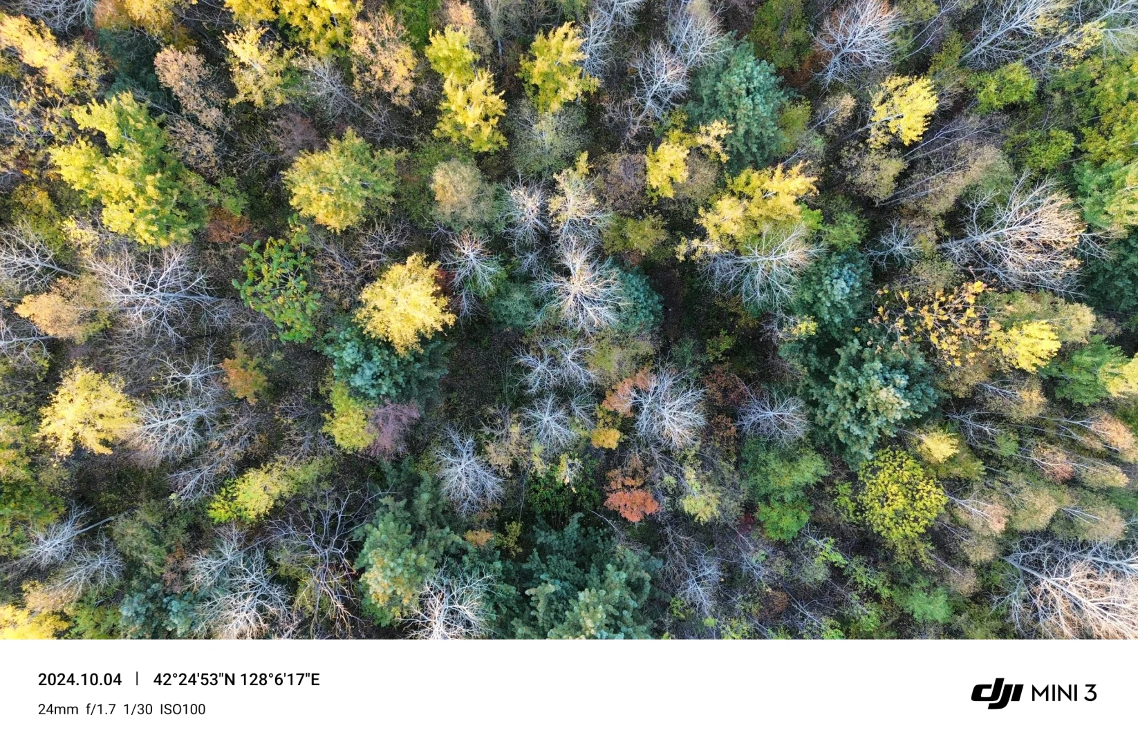 吉林必去十三个景点,你去过几个?