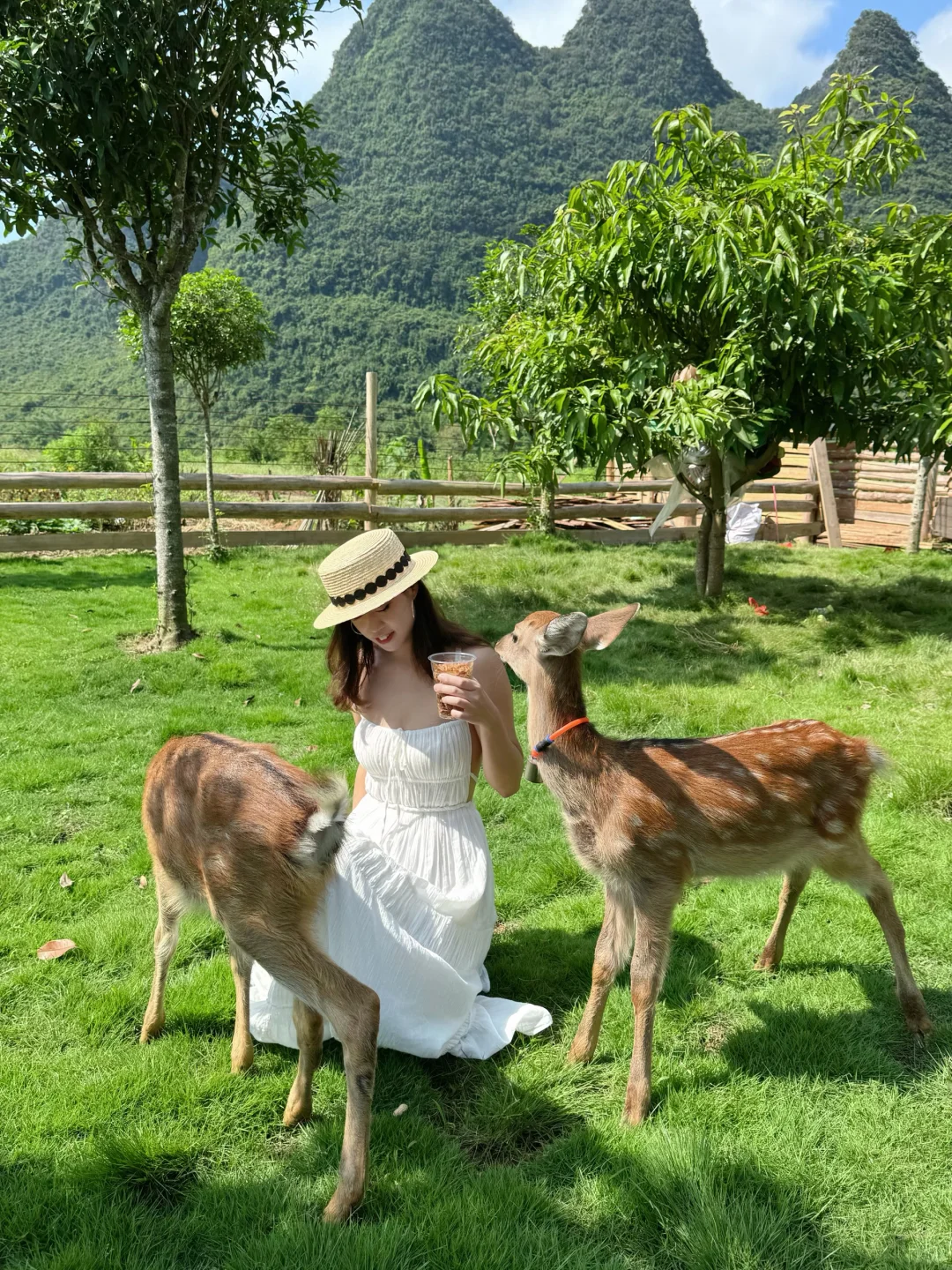 阳朔！建议留半天时间在这里！！🦌💕