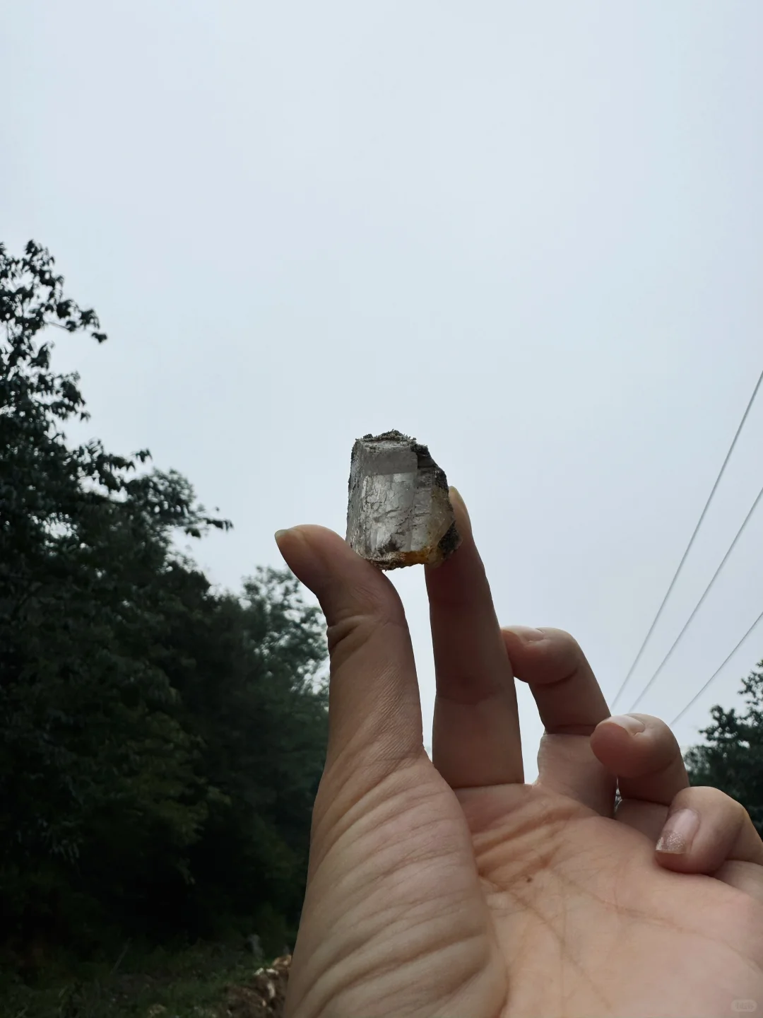 这里不是新疆,是邯郸!