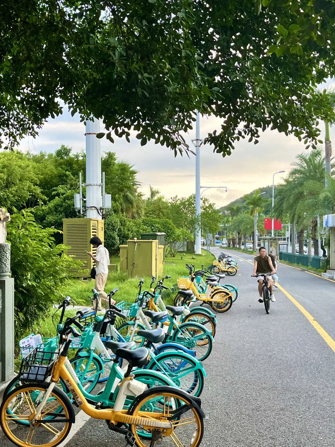 厦门已回（已被宰）！内容很脏，但真实…