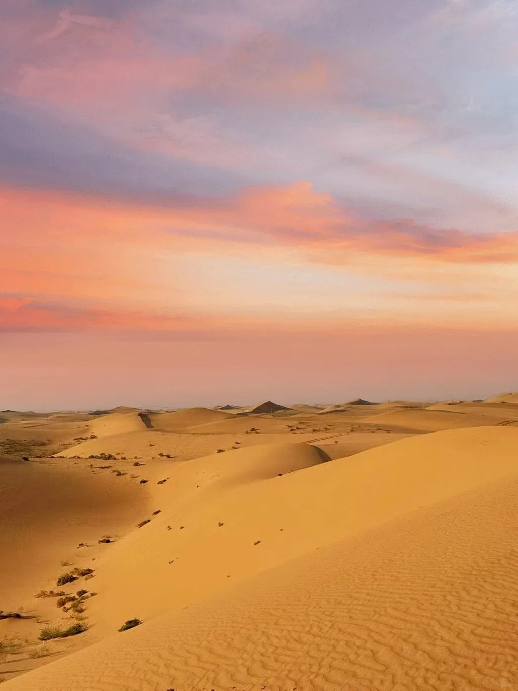 玩宁夏!只需要周内请假一天(攻略)