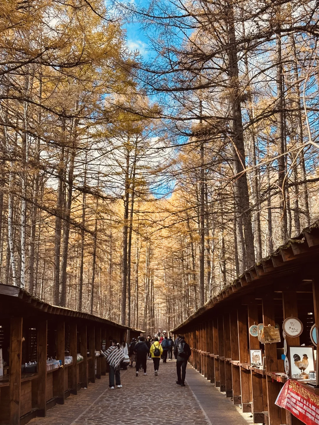 📍阿尔山攻略(长春出发版)