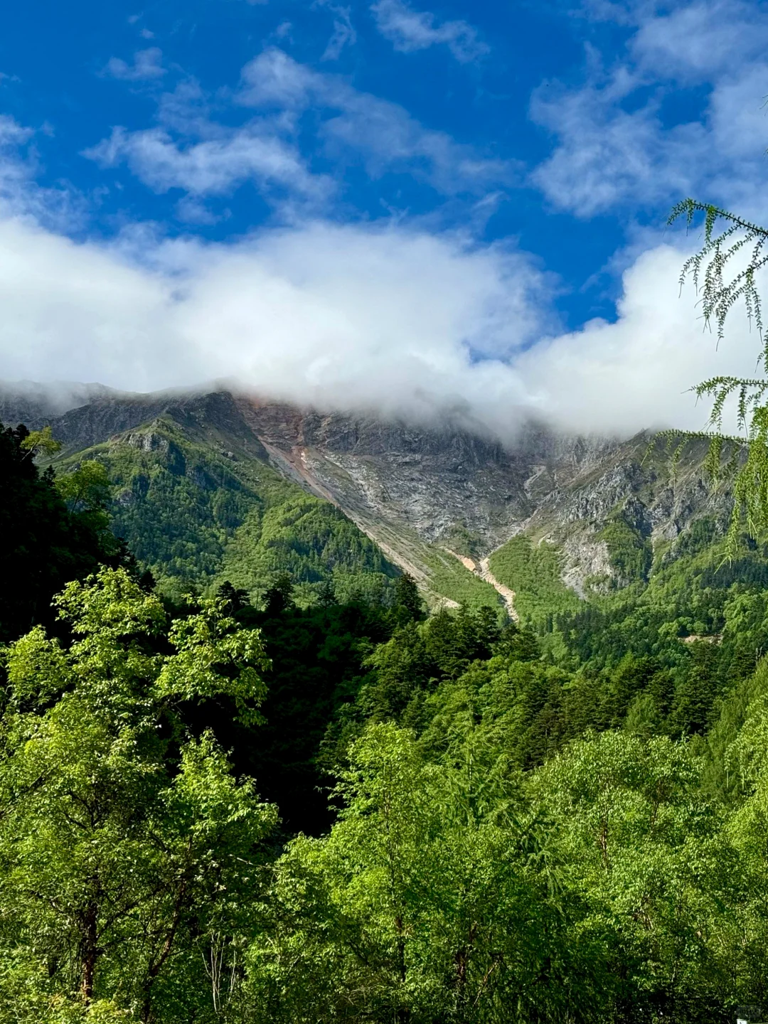 不去官鹅沟，不知西北山水奇！三天畅玩攻略