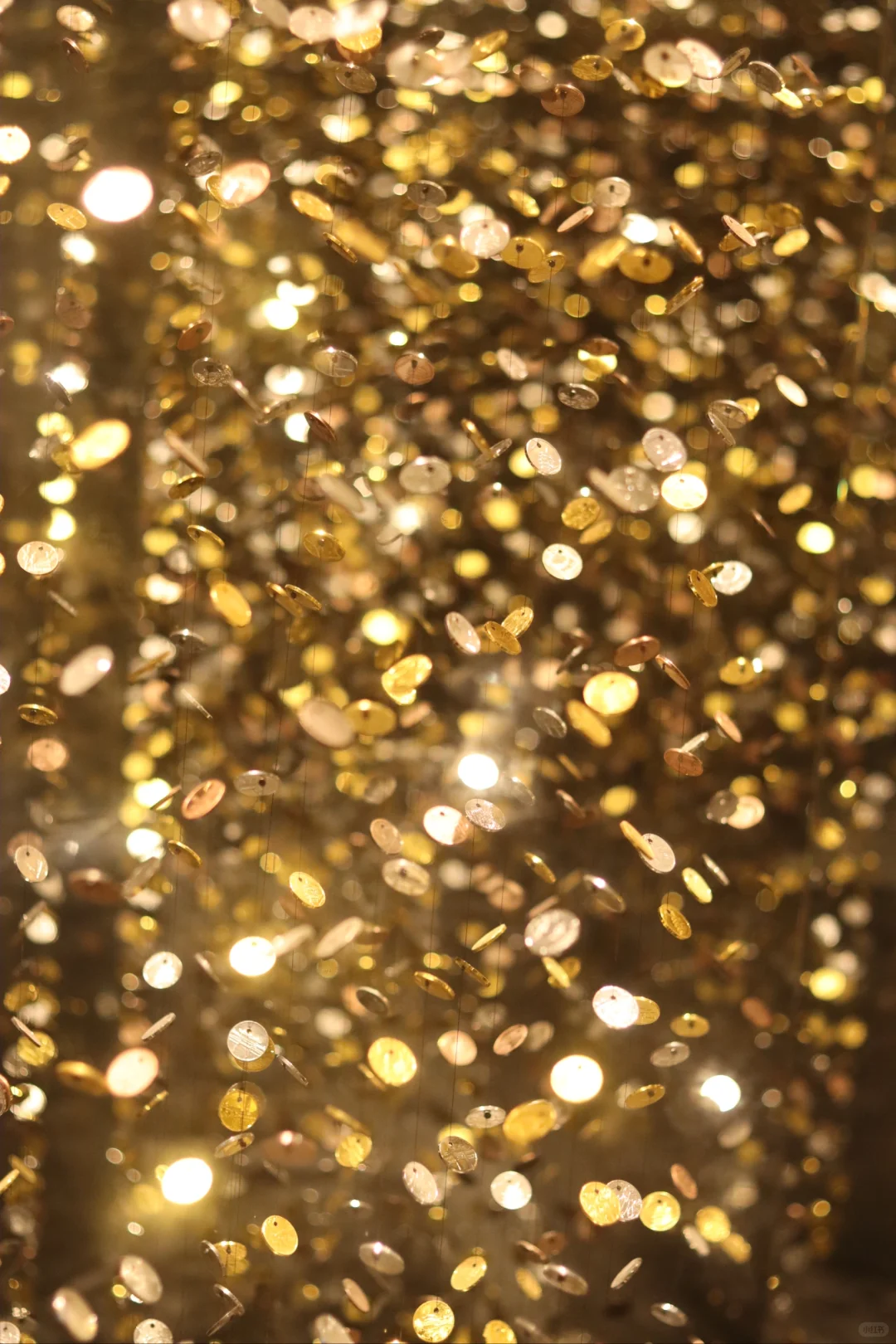 嘉兴旅游攻略(三天两夜国庆版)