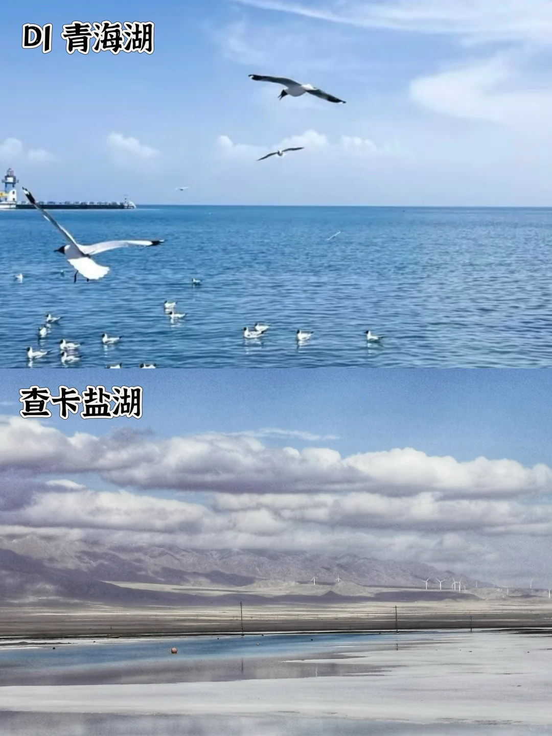 西北超全旅游攻略|从香港🇭🇰去西北