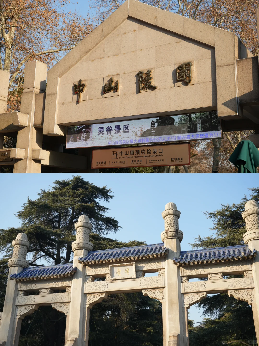 南京刚回来！南京博物院❤️梧桐大道❤️中山陵