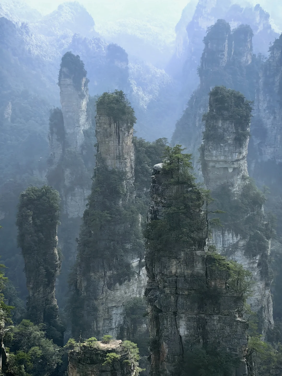 张家界旅游攻略 三天三夜 三索一梯不限次