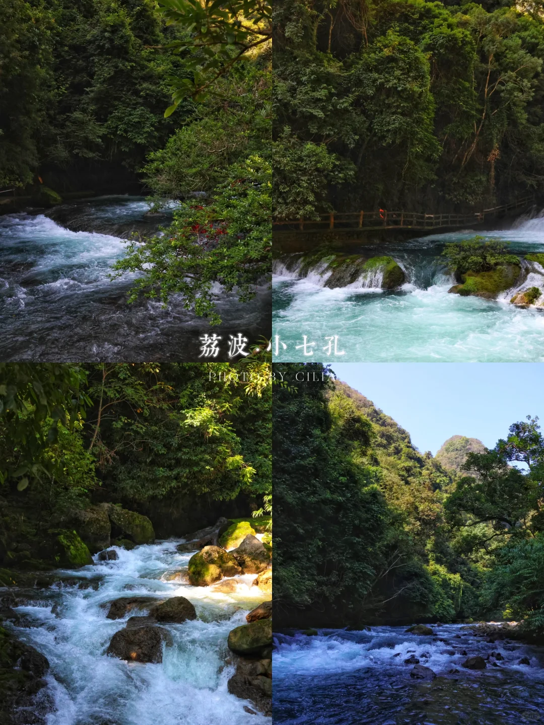 荔波｜满眼青绿的小七孔🍃真的太美了