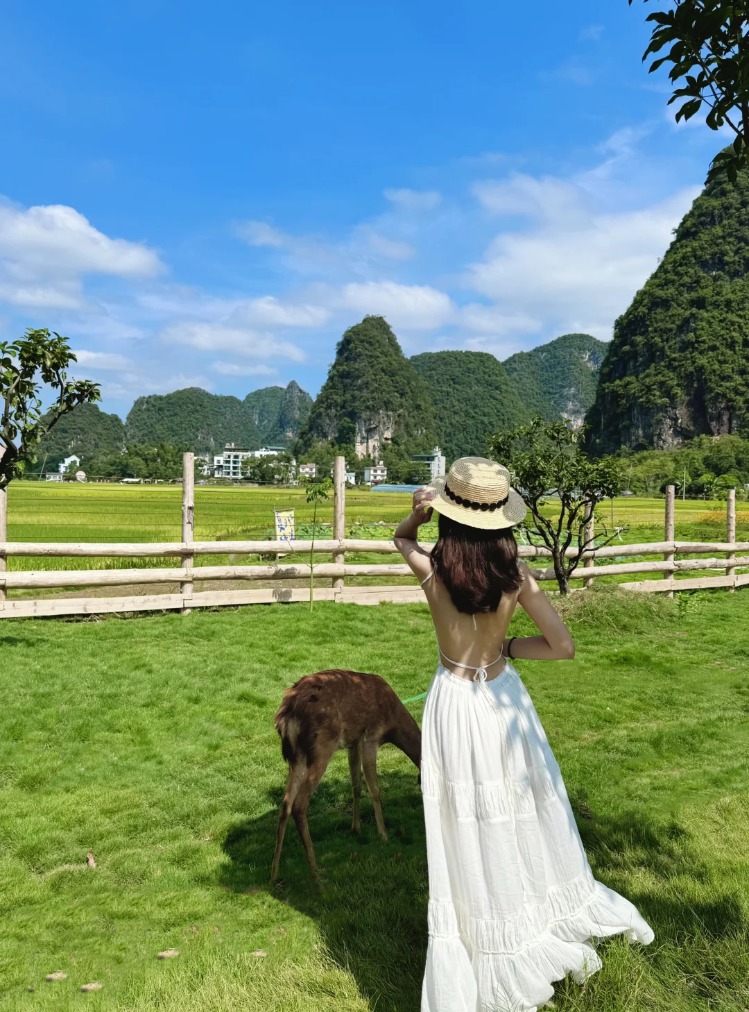 阳朔！建议留半天时间在这里！！🦌💕