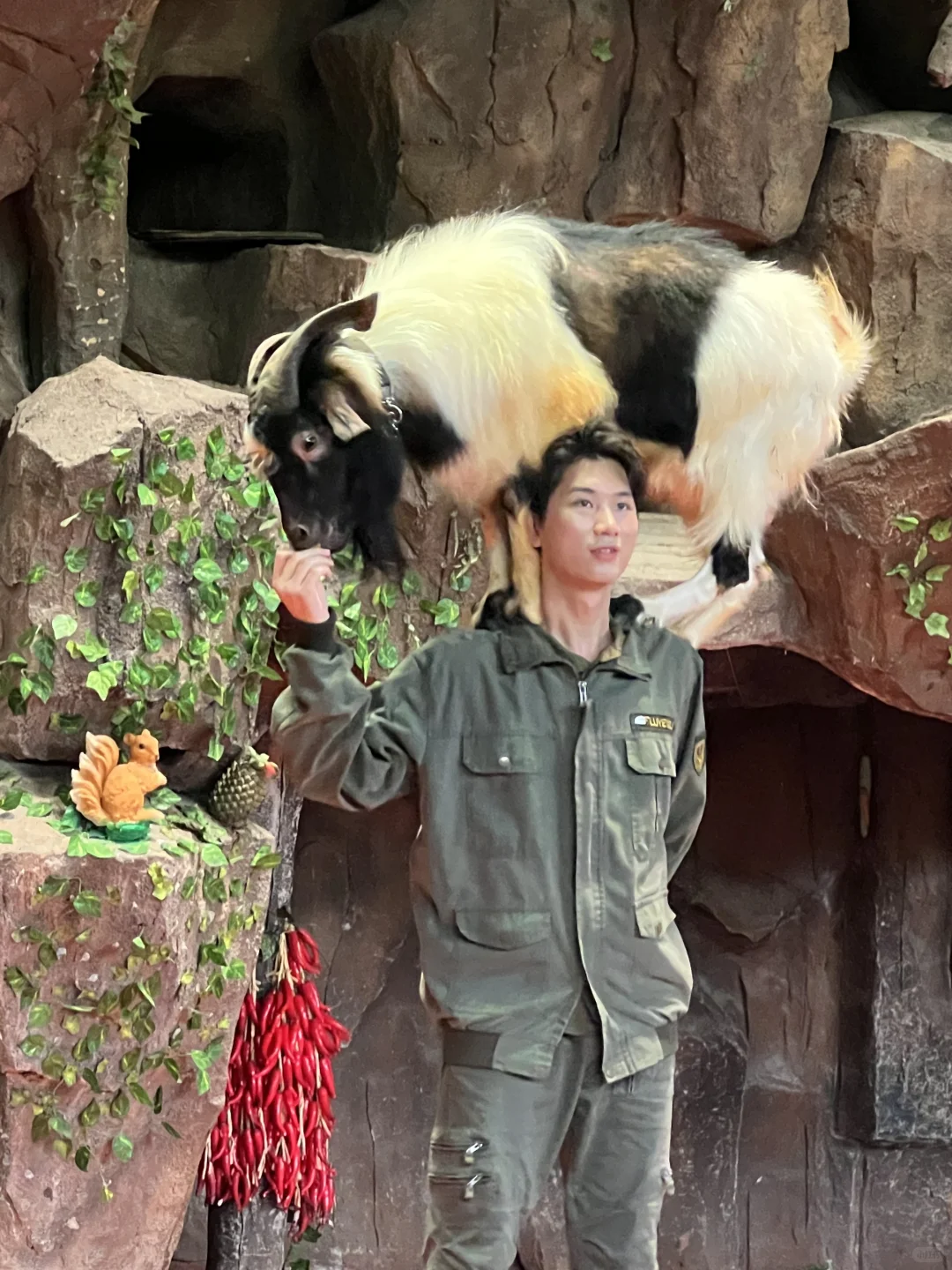 🦌 顺德长鹿休博园最新游玩攻略