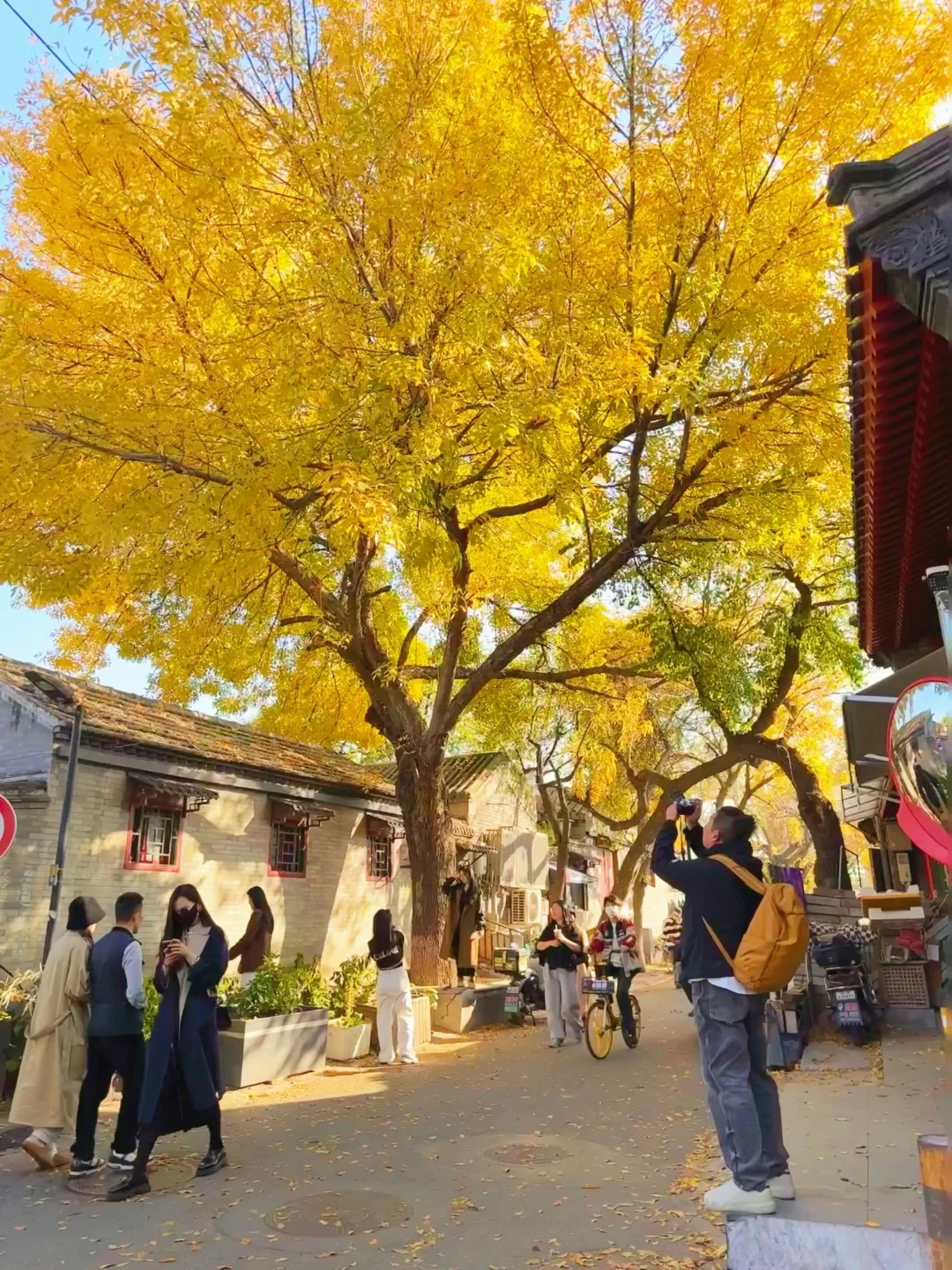 国庆❗️北京胡同citywalk➕赏秋路线合集地图