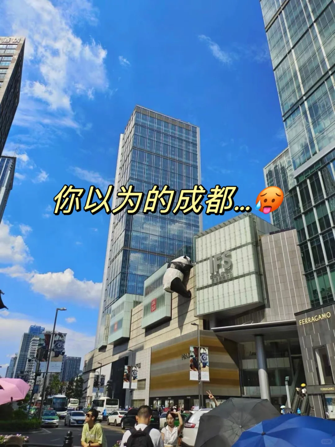 外地游客..真心不建议你们临时起意来成都