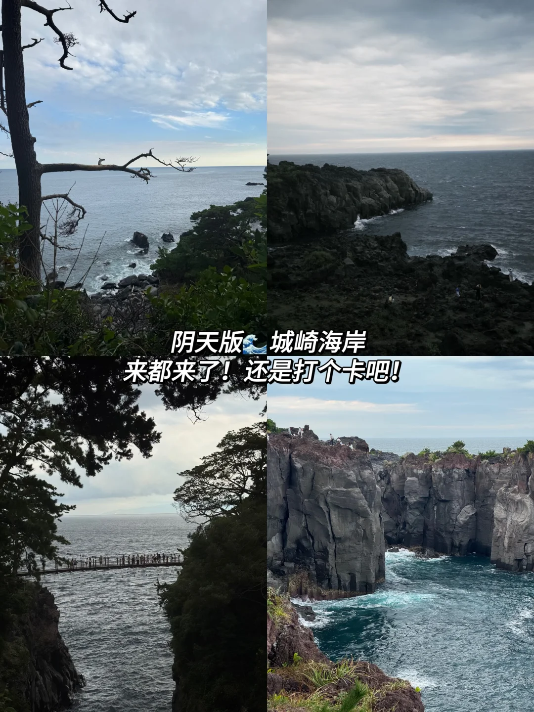 伊豆两天一夜旅游攻略⛰️日本的精髓都在乡下