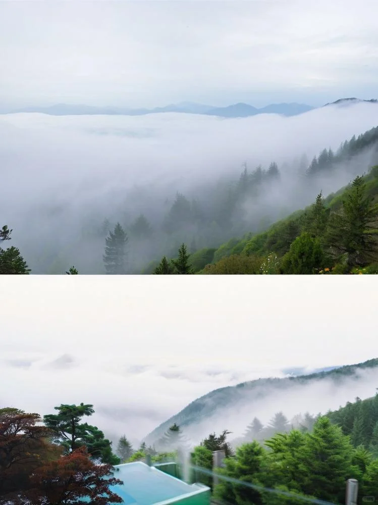 莫干山度假必住！浴缸看景谁懂啊～