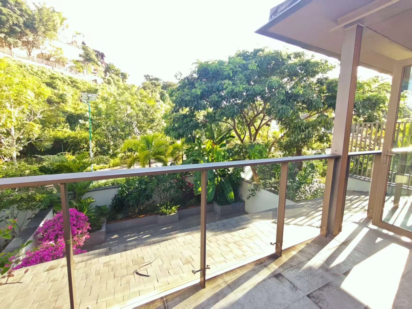 西双版纳11月旅游攻略