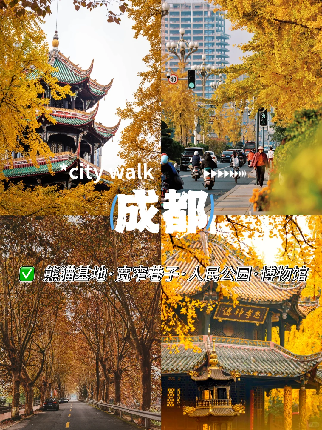 月薪三千也能冲‼️这5个地方的秋天美疯了